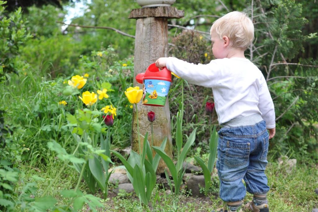 Top-Rated Local Gardener Near Me – Hire with Confidence